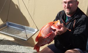 Vangstes min maar darem